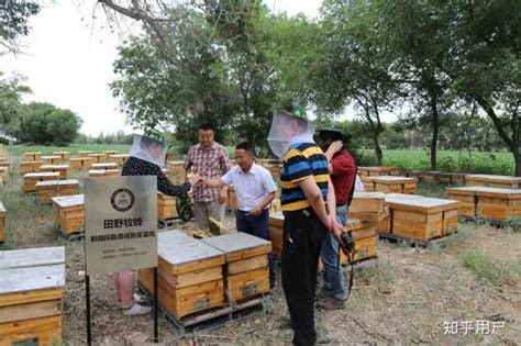 农村蜜蜂养殖户，想把蜂蜜卖到城里，这5种途径是否可行？