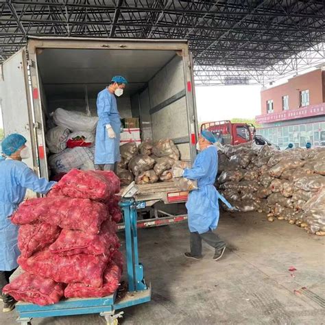 伊宁市城东蔬菜水果批发市场复工了 -天山网 - 新疆新闻门户