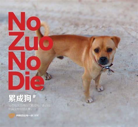 no zuo no die什么时候流行的(no zuo no die什么意思)_草根科学网