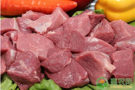 今日羊肉价格多少钱一斤？9月份全国最新羊肉价格行情分析 - 惠农网触屏版