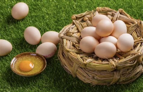 年销量十倍增长，品类引领者“黄天鹅”如何打造现象级鸡蛋品牌？ _推荐_i黑马