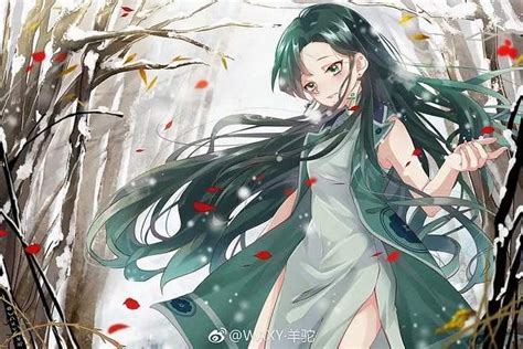 梅花十三图片