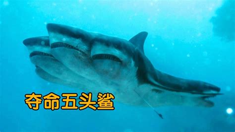 夺命五头鲨-02：变异鲨鱼长了五个脑袋，吃人就跟吃小鸡一样#好片推荐官#_腾讯视频