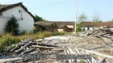 青海省农牧区人均年劳务增加至5675.6元|农牧民|高原|青海_新浪新闻