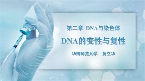 酸性条件下的DNA构象变化加速DNA变性解链