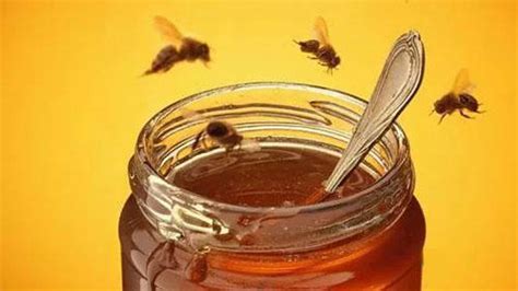 蜂蜜是胃病的“克星”，蜂蜜对胃都有哪些好处？有胃病的快存起来！_凤凰网健康_凤凰网