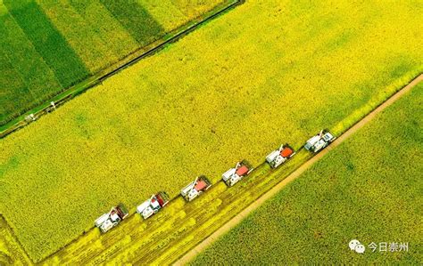 凯斯纽荷兰与中化农业崇州MAP服务中心召开现代农业机械观摩会 | 农机新闻网