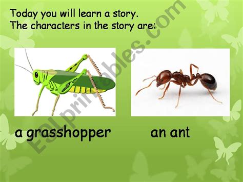 PPT – Ants PowerPoint presentation | free to view - id: 24b0ec-NTM4M