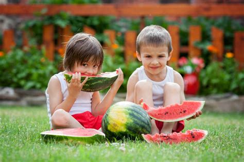 吃西瓜的小女孩图片-孩子们在花园里吃西瓜素材-高清图片-摄影照片-寻图免费打包下载