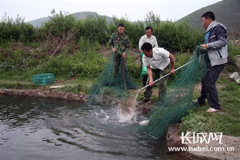 沽源红鳟养殖场年收入150万 水产养殖助民致富_凤凰网