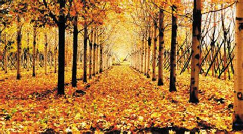 世界最美的秋景_好玩_GQ男士网