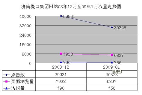 一月份网站流量统计报告（2009）__济南堤口集团内部交流平台