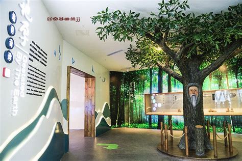 2022通江银耳博物馆游玩攻略,神秘的北纬30°形成了贵州独...【去哪儿攻略】