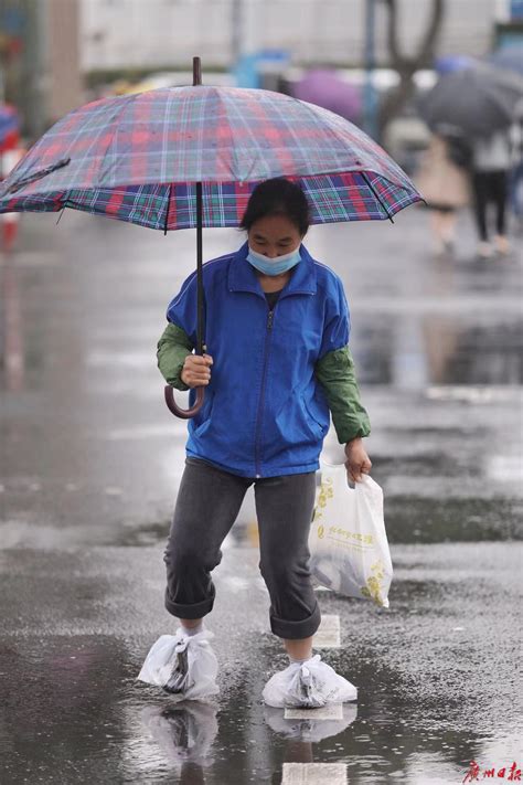 跨年“王炸”级寒潮来袭！中央气象台提醒：裹好你的小棉袄|广东|气温|雨雪_新浪新闻