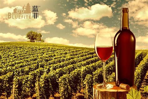 贵腐葡萄酒，70-200价位段推荐---托卡伊（Tokaji）产区专篇_葡萄酒_什么值得买