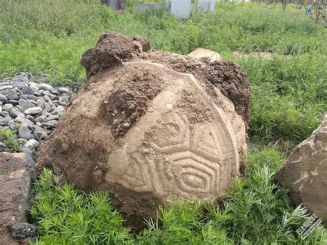 重庆市“十三五”期间重大考古发现丨涪陵龟陵城遗址