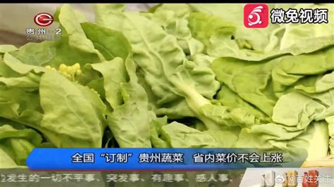 全国“订制”贵州蔬菜 省内菜价不会上涨_手机新浪网