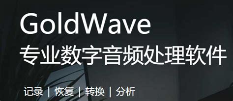 GoldWave6.51国外软件/共享版_GoldWave下载-PC9软件园