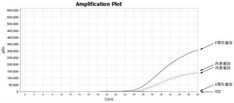 一种检测CYP1A2基因rs762551位点的实时荧光PCR方法及其引物探针组合与流程