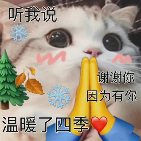 我的表情包图片