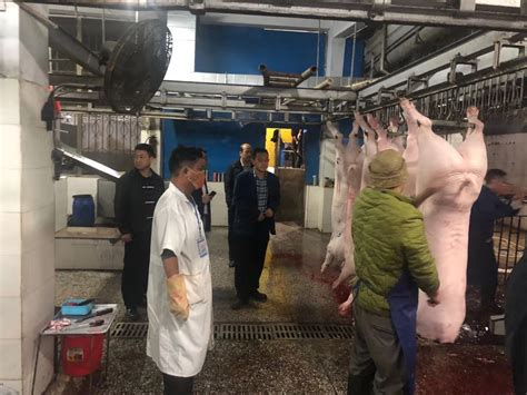 每天屠宰9000头猪，广东最牛的屠宰场是什么样的？