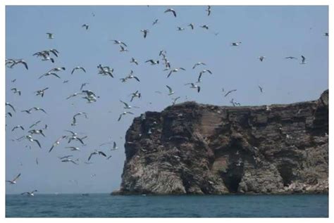 旅顺鸟岛，当地人称海猫岛，位于老铁山自然保护区范围内