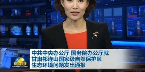 CNTV新闻联播启动界面设计欣赏 - - 大美工dameigong.cn
