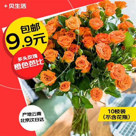 橙色芭比多头玫瑰 鲜花 产地云南北京发货保证新鲜 多头玫瑰鲜花-淘宝网