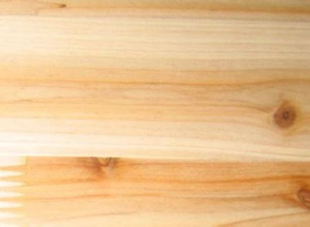 杉木木材特点是什么-百度经验