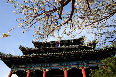 北京：景山公园春色满园-人民图片网