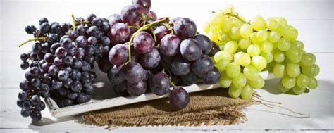 葡萄最早种植在哪个朝代 葡萄始于哪个朝代_知秀网