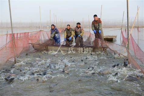 江苏淮安：渔民捕鱼供市场-人民图片网