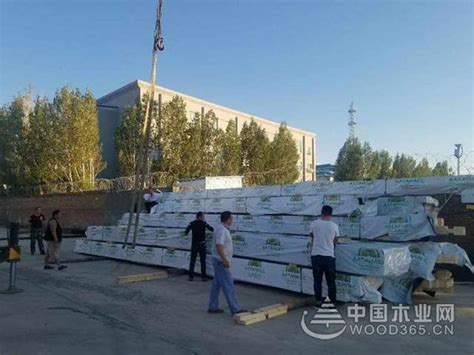 新疆吉木乃口岸首次批量进口木材 交易金额达61万元-木业网