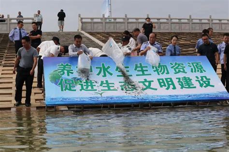 白龙潭，百亩洋，夏日戏水欢_新浪新闻