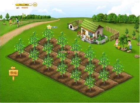 农场主50级扩建农场(农场等级最高多少级)-心趣游戏