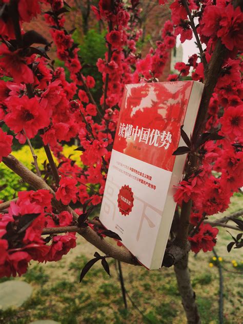 银川高级中学举办“寻 找100本红色经典”图书漂流活动-宁夏新闻网