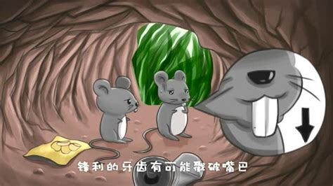 越南最受欢迎的竟是“烤老鼠”（图）_奇象网