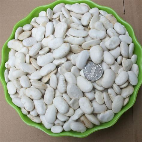 [白玉豆批发]白玉豆 白云豆价格14000元/吨 - 惠农网