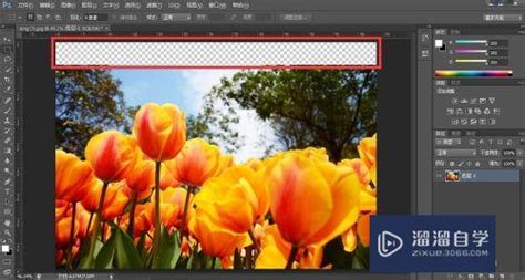 Photoshop扩展面板合集(30款)图片预览_绿色资源网