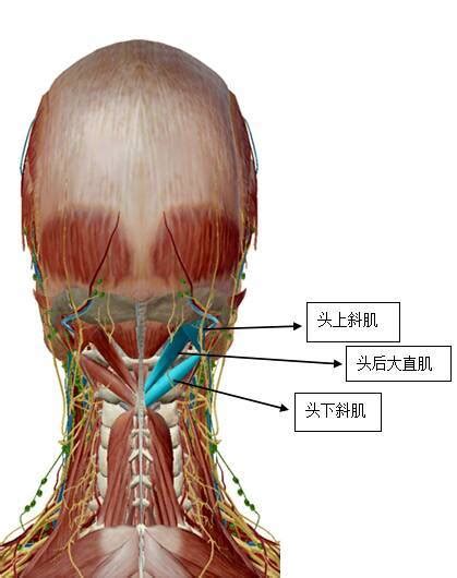 枕大池位置图片