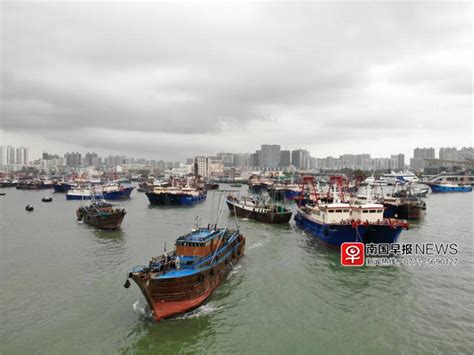 开海首日北海和防城港一房难求，海鲜价格预计偏高|南国早报网-广西主流都市新闻门户