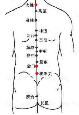 腰背部穴位及砭石调理病症-砭萃网:泗滨砭石,砭术与健康-手机版