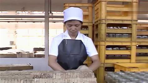 豆腐机生产线_济南科华机械技术有限公司