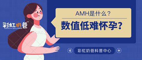 试管婴儿助孕期间AMH评估卵巢功能有什么优势呢-深圳中山泌尿外科医院