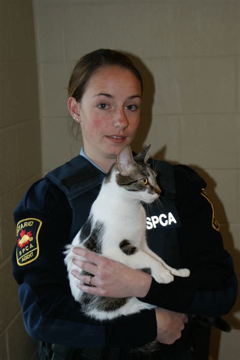 Role of the Ontario SPCA Officer - Ontario SPCA and Humane Society