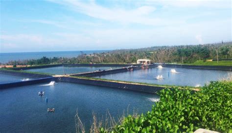 珠海市冠鸿水产养殖有限公司