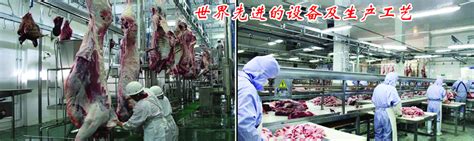 美国肉类出口协会上海代表处-上海万户网站建设公司