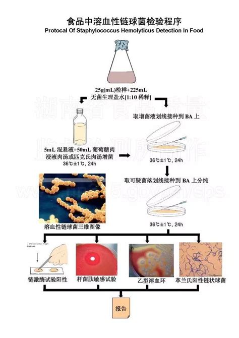 微生物鉴定——法规解析-上海喜克生物科技有限公司