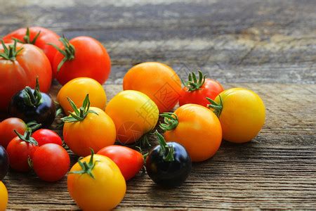 “甜美”！福州永泰的彩色番茄迎来丰收季！