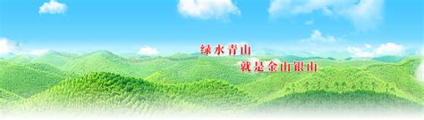 广西壮族自治区国有七坡林场 - 爱企查